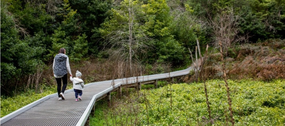Belair National Park