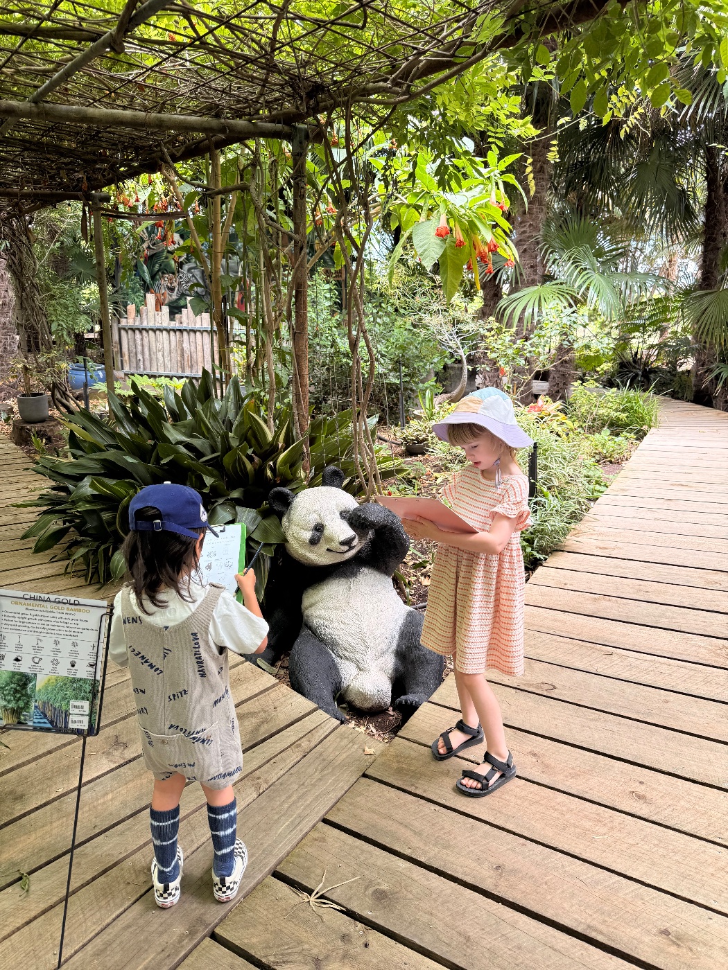 Jungle in Willunga